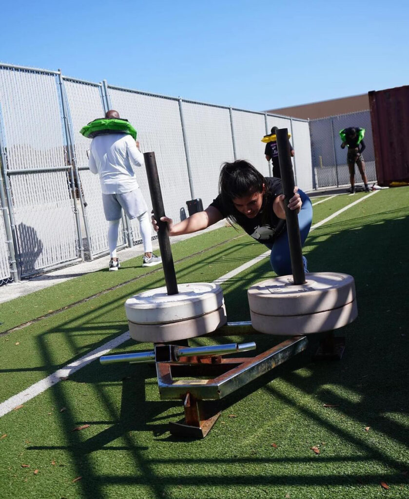 Alpha Instinct Class